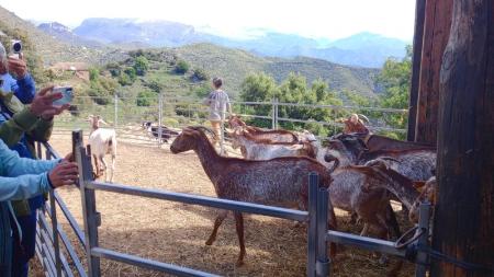Imagen BOLTAÑA, COMPROMISO CON EL TERRITORIO