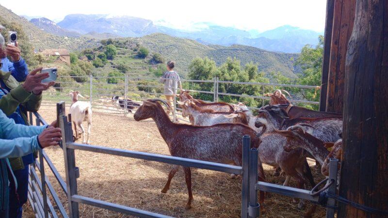 Imagen BOLTAÑA, COMPROMISO CON EL TERRITORIO